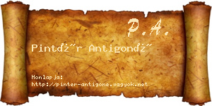 Pintér Antigoné névjegykártya